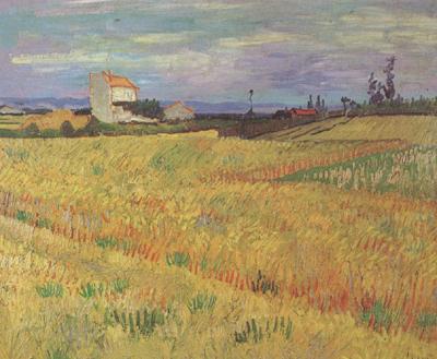 Vincent Van Gogh Wheat Field (nn04) Norge oil painting art